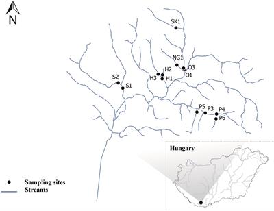 Flow Intermittence Drives the Benthic Algal Composition, Biodiversity and Diatom-Based Quality of Small Hilly Streams in the Pannonian Ecoregion, Hungary